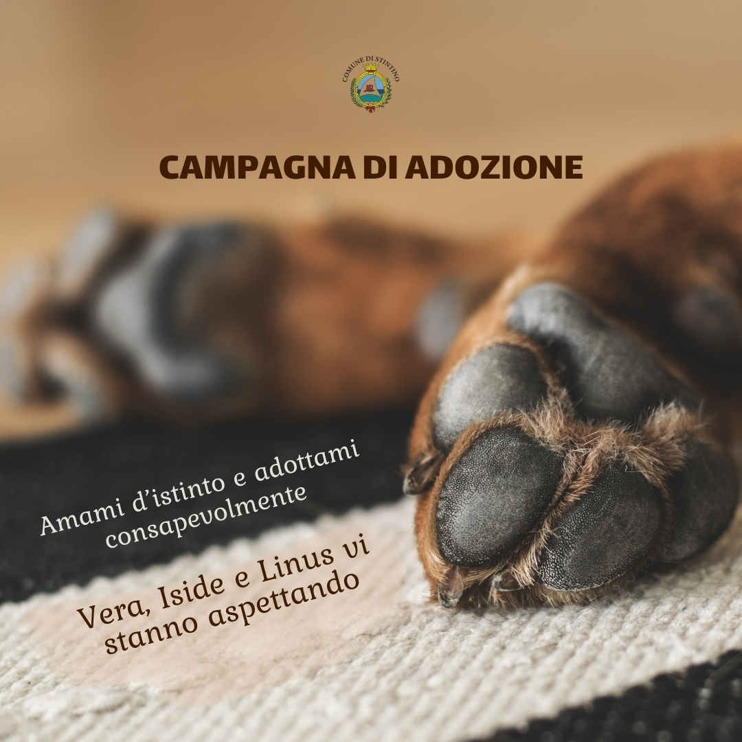 Campagna di adozione | Amami d’istinto e adottami consapevolmente