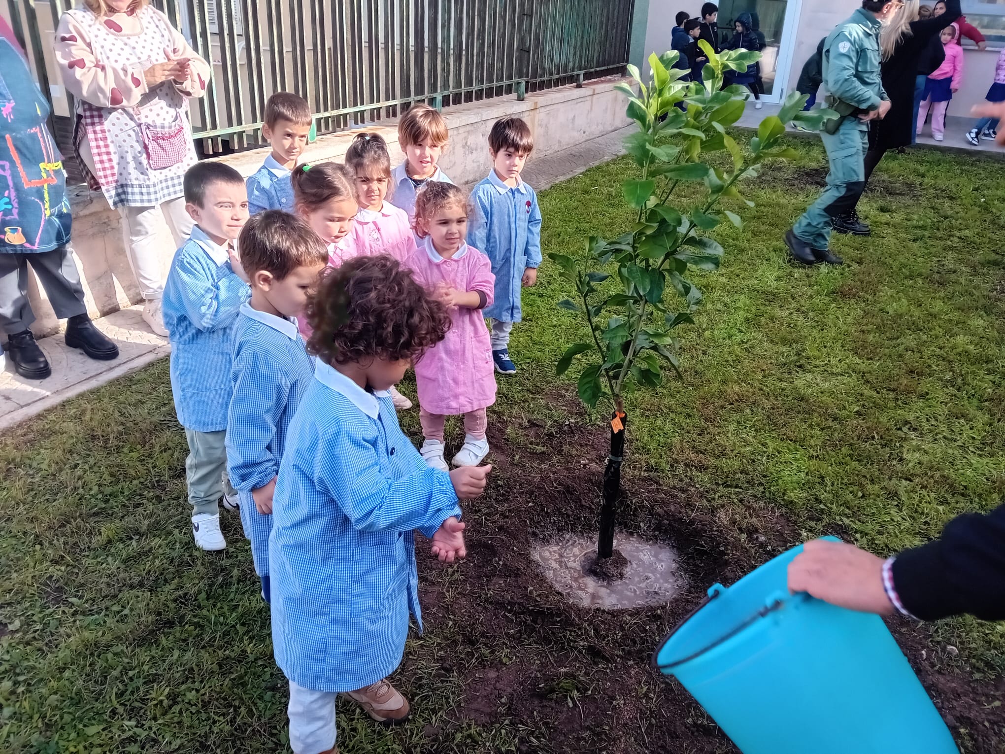 Stintino celebra la Festa dell'Albero con le scuole: un laboratorio per il futuro del pianeta